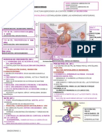 Sistema endocrino y regulación hipotalámica