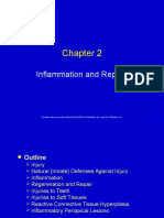 Inflammation and Repair: 1 Elsevier Items and Derived Items © 2009 by Saunders, An Imprint of Elsevier Inc