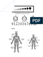 Burns and Pain Scale