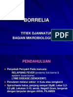 22.4. Borrelia.pdf