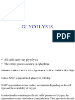 GLYCOLYSIS: THE CENTRAL PATHWAY OF ENERGY PRODUCTION