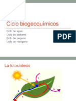 Ciclo biogeoquimicos