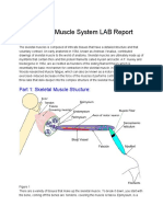 Skeletal Muscle System LAB Report