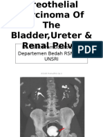 Cancers of The Urogenital