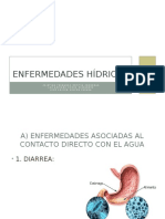 Presentación Enfermedades Hídricas