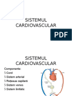 Sistemul Cardiovascular Mg,Md2015