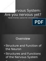 Nervous System Powerpoint