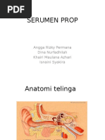 Download Serumen Prop Ppt by dinfadila SN293315679 doc pdf