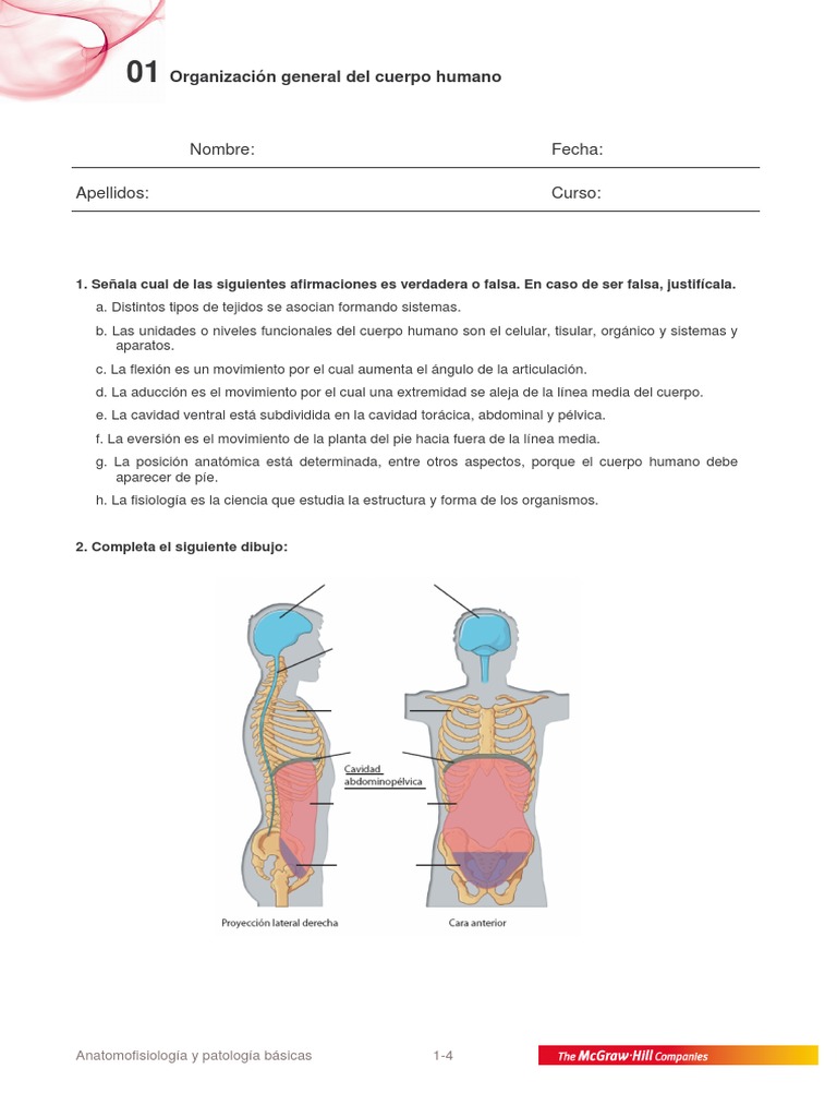 Organización general del cuerpo humano | PDF | Términos anatómicos de ...