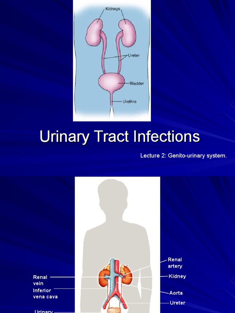 K 9 Urinary Tract Infection Ilmu Penyakit  Dalam 