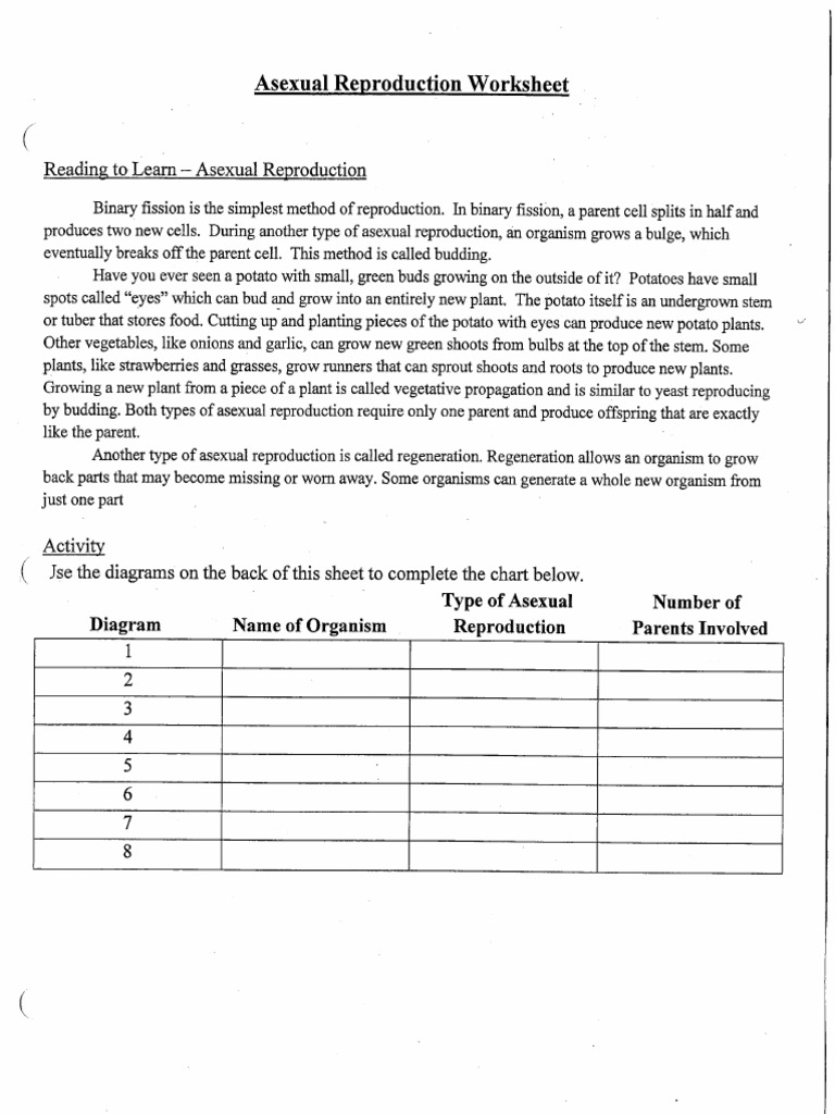 Asexual Reproduction Worksheet PDF Reproduction Biological