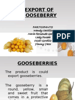 Export of Gooseberry Yimy