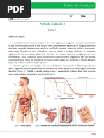 82097 Ficha Avaliacao2