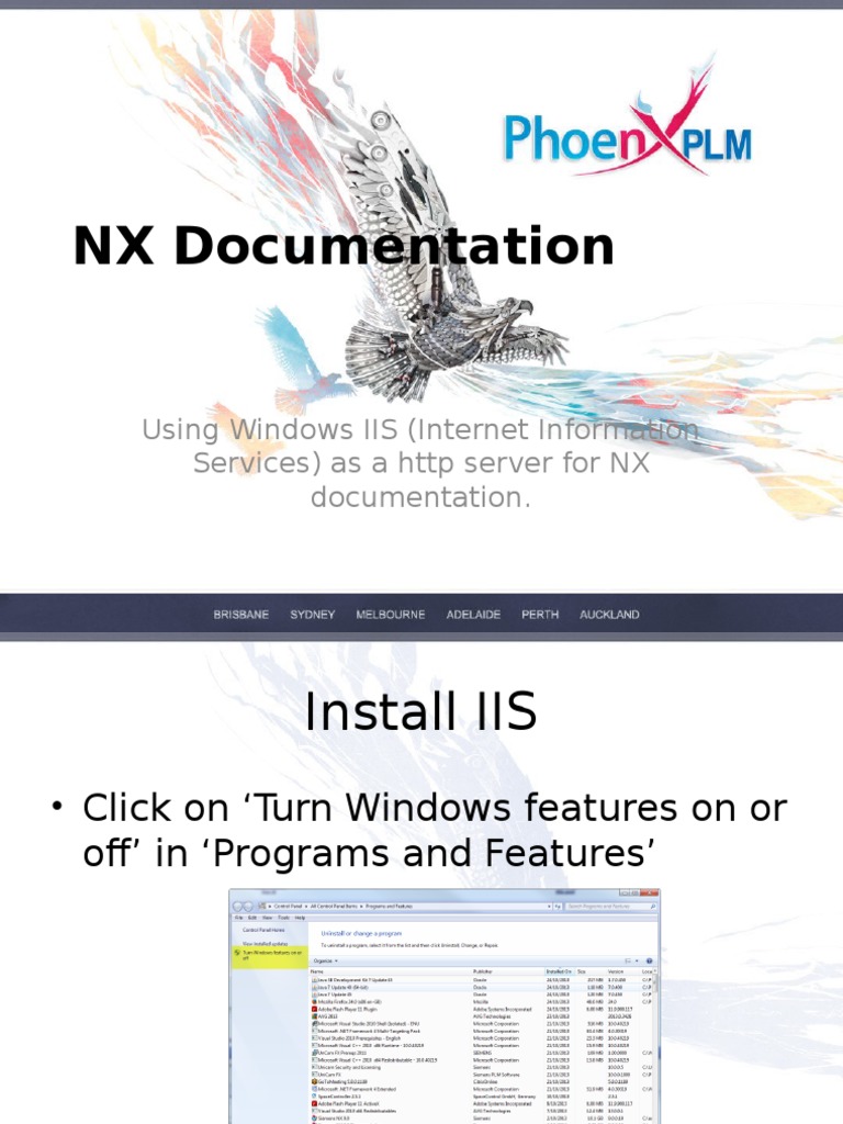 IIS Setup for NX Documentation Access | PDF