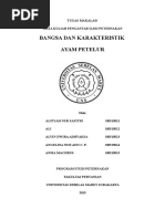 Download makalah contoh dan karakteristik ayam petelur by Anisa Machrus SN293335935 doc pdf