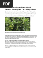 Download Manfaat Daun Sukun Untuk Ginjal by Kadek Bayu Dwipermana SN293338846 doc pdf