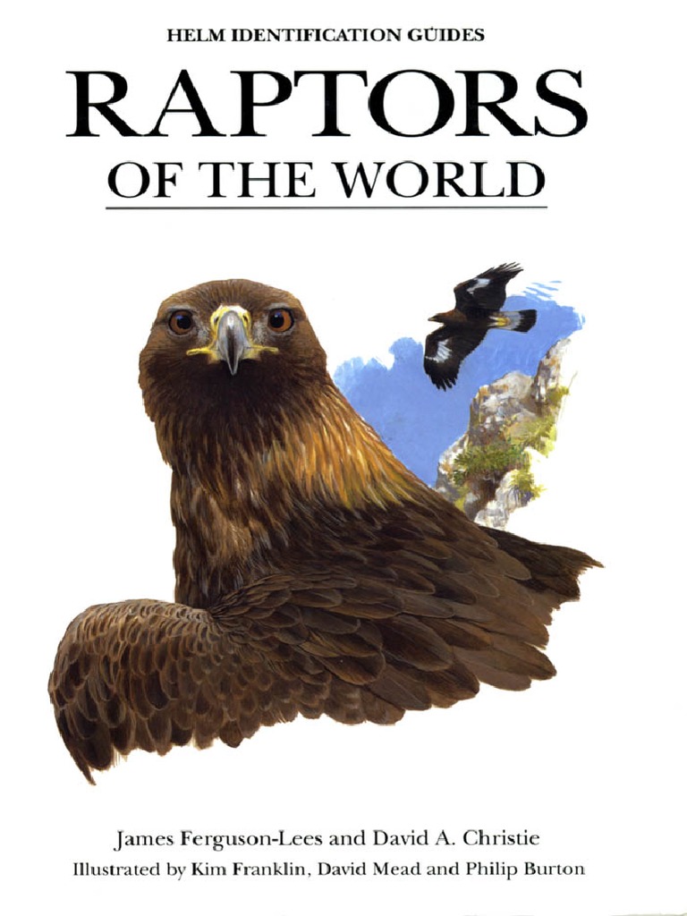 洋書 Eagles Hawks and Falcons of the World 025476.jpg