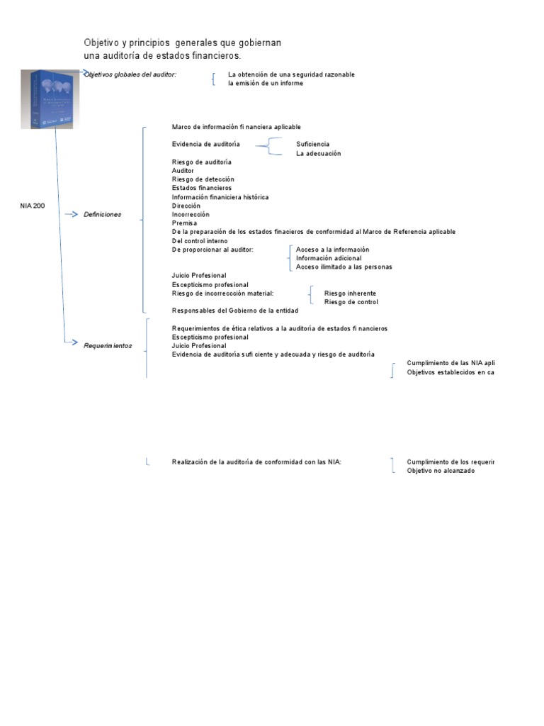 Mapa Conceptual NIA 200