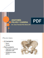 AnatomiaPelvisyCadera (1)
