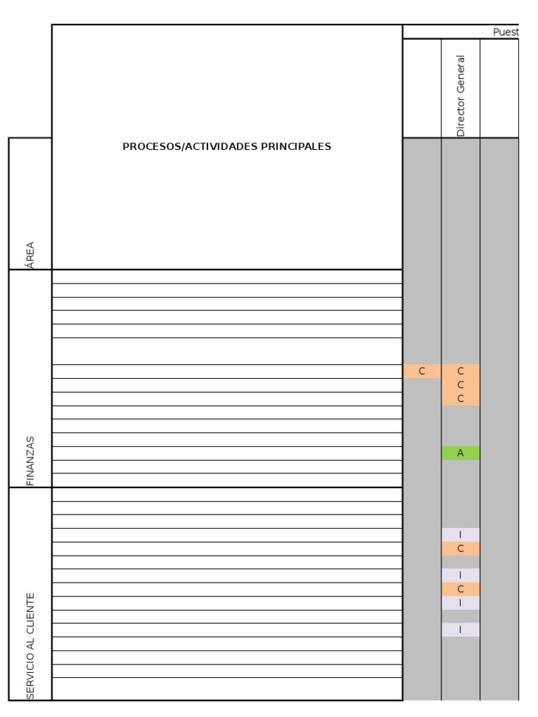 Matriz Raci | PDF