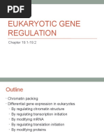 Eukaryotic Gene Regulation Notes