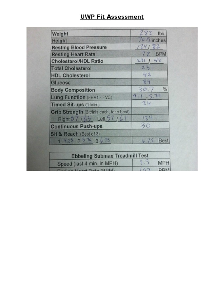 Fit Assesment | PDF
