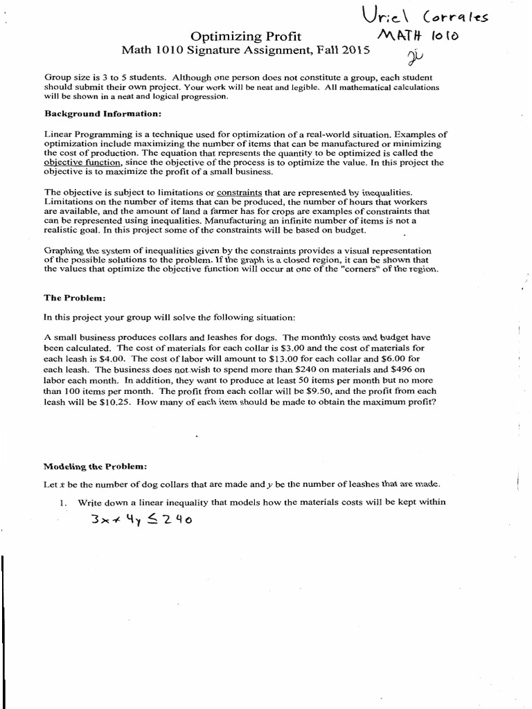 Project Math 1010 | PDF | Linear Programming | Mathematical Optimization