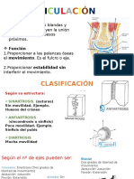 Articulaciones Anatomia Humana