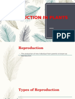 Plant Reproduction