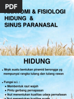 Download ANATOMI-FISIOLOGI HIDUNGpdf by Agustina Ola SN293420440 doc pdf