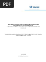 011 Directrices de Protección Para Los Pueblos Indígenas en Aislamiento y en Contacto Inicial de La Región Amazónica, El Gran Chaco y La Región Oriental de Paraguay