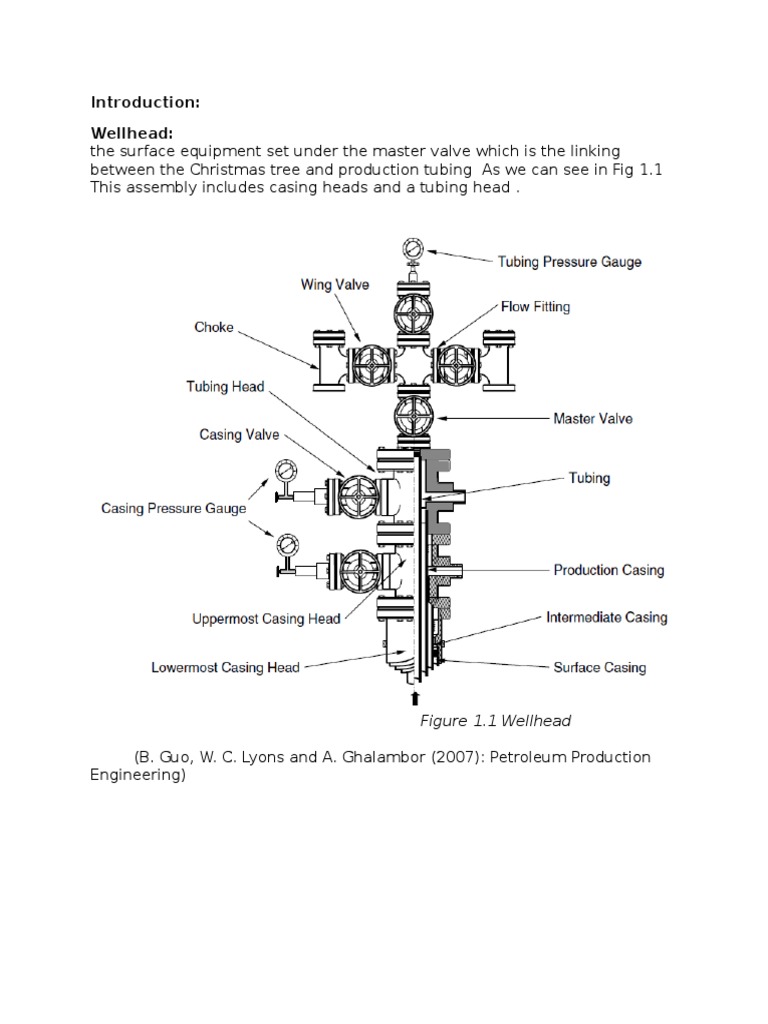 Wellhead Assembly Components Explained | PDF | Technology & Engineering