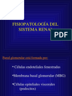 Fisiopatología Renal