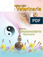 acupuntura  veterinaria