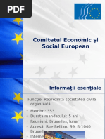 Comitetul Economic Şi Social European