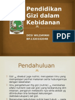 Gizi Kebidanan