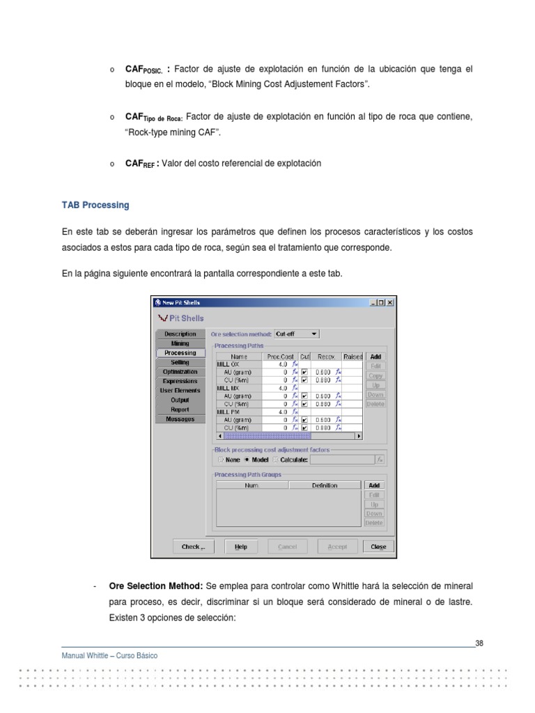 Parámetros y Métodos en Whittle | PDF | Minerales | Flujo de efectivo