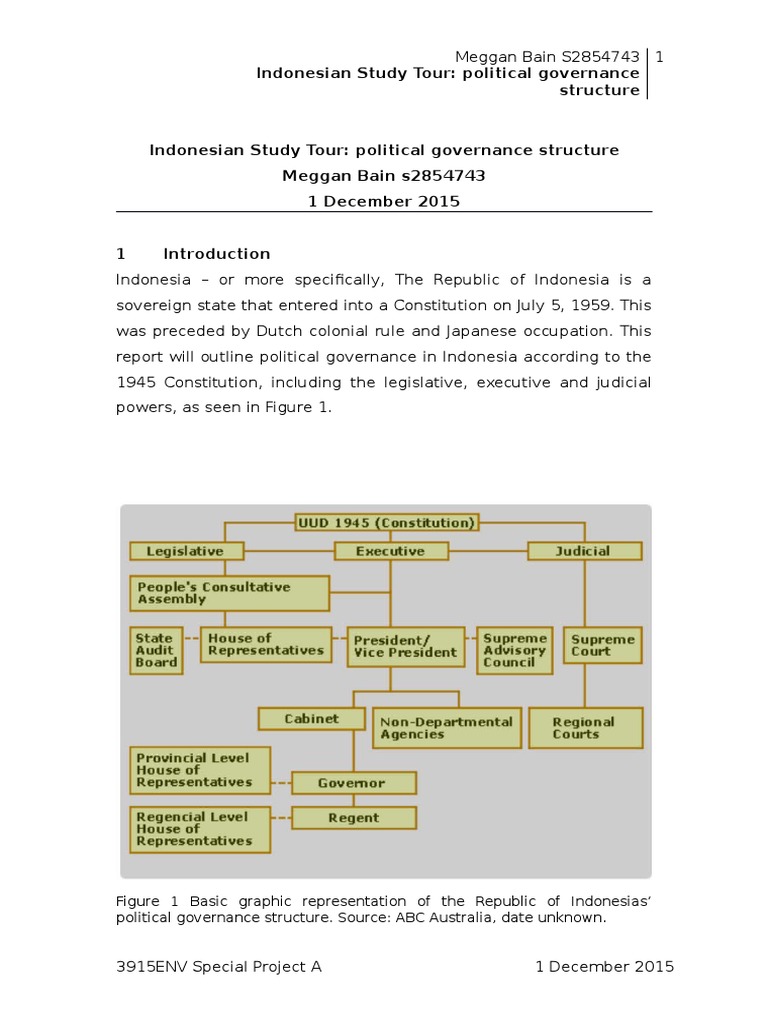 Indonesia's Political Governance Overview | PDF | Virtue | Government