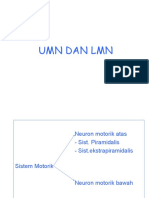 LMN Dan Umn