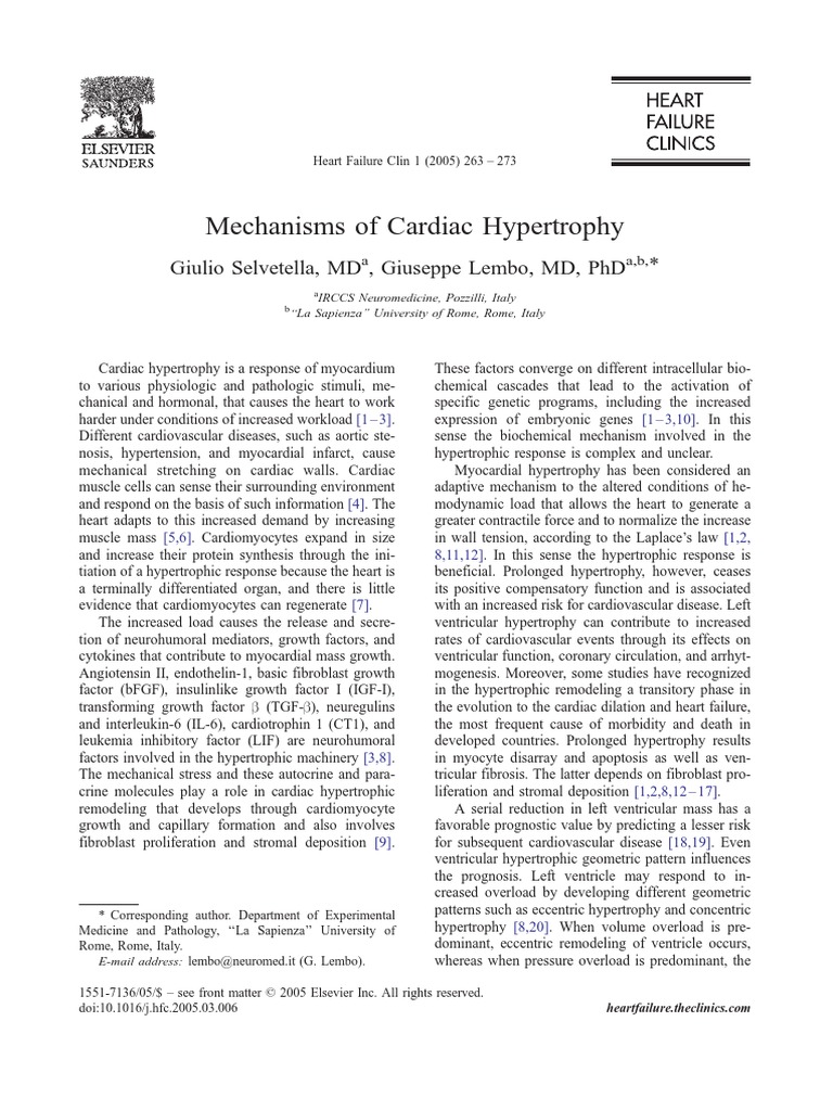 Mechanisms of Cardiac Hypertrophy | PDF | Protein Kinase B | Cytoskeleton