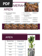 Download Gula Merah Aren by faris jaisyul aziz SN293520405 doc pdf