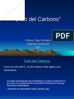 Ciclo Del Carbono (4)