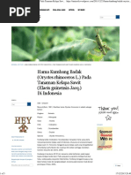 Download Hama Kumbang Badak Oryctes rhinoceros L Pada Tanaman Kelapa Sawit Elaeis guinensis Jacq Di Indonesia  U_Miia04 Blogpdf by aslio1 SN293522205 doc pdf