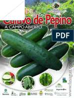 Cultivo Pepino Manual