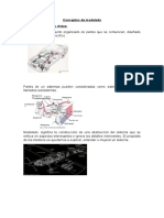 Conceptos de Modelado