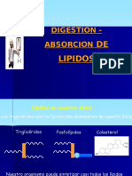 Clase 7 - Digestion - Absorcion D Elipidos