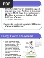 Chapter 1 Ecological Pyramids