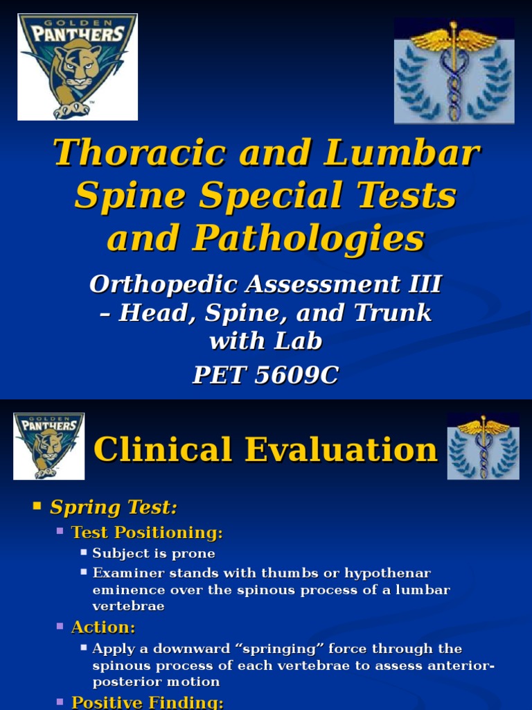 Lumbar and Thoracic Spine Tests Guide | PDF