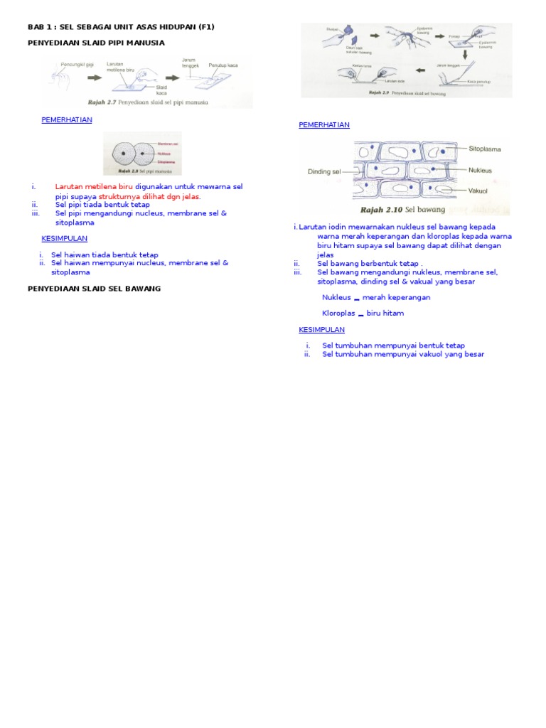 Eksperimen Penyediaan Slaid Pipi Manusia Pdf
