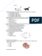 BIO PAKET 1